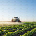 trattamenti fitosanitari